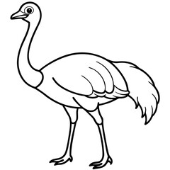 Sleek Ostrich Outline in Vector Style