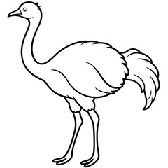 Sleek Ostrich Outline in Vector Style