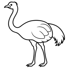 Sleek Ostrich Outline in Vector Style