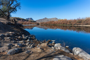 The beautiful Salt river in Arizona