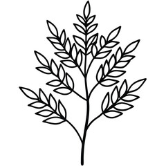 black and white silhouette of tree