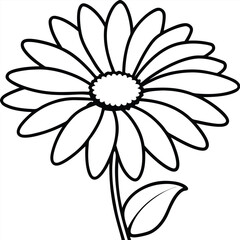 white flower on black background