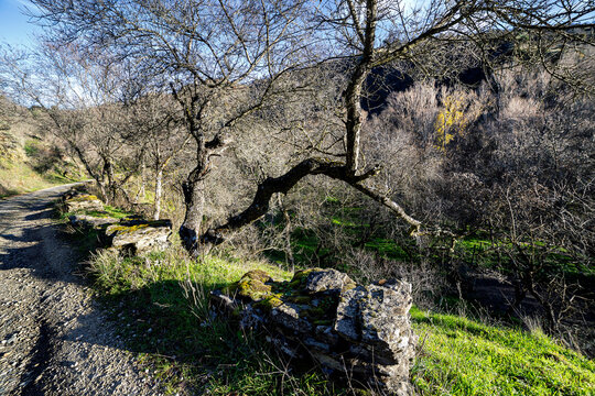 Invierno en el Camino de la presa de La Parra
