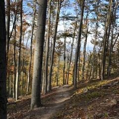 Obraz premium Dobogoko