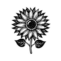 Sunflower Line Art & Silhouette Vector &ndash; Minimalist Botanical Design on Clean White Background, Sunflower black and white Vector &ndash; Minimalist Design, Minimalist Sunflower Vector &ndash; Line & Silhouette,