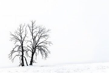 striking dark tree silhouette against white sky highlighting simplicity and contrast. generative ai