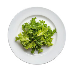 Fresh Green Leafy Lettuce on a Clean White Plate for Healthy Meals