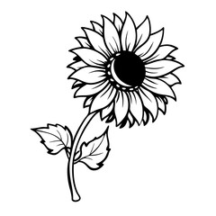 Line Art Illustration of a Single, Vibrant Sunflower Isolated on a Clean White Background, 
Sunflower Line Art, Vibrant Sunflower Sketch, Simple Sunflower Drawing









