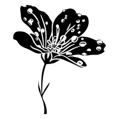 Floral Silhouette: A delicate monochrome illustration captures the intricate beauty of a flower, its petals and stem rendered in a striking black and white design.