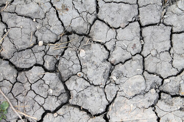 Dry cracked earth, parched land, Earth dirt texture background of grey mud, arid soil, Dry cracked earth texture, cracked earth, Dry mud, broken texture, desert, Global Warming, Climate Change. High