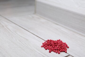 Pile of rat poison on floor indoors, closeup. Space for text