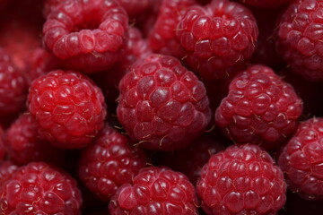 Close-Up of Fresh Ripe Red Raspberries with Detailed Texture and Vibrant Color