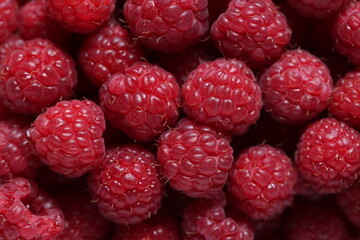 Close-Up of Fresh Ripe Red Raspberries with Detailed Texture and Vibrant Color