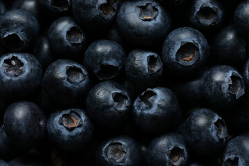 High-Quality Macro Photography of Fresh Blueberries with Detailed Texture