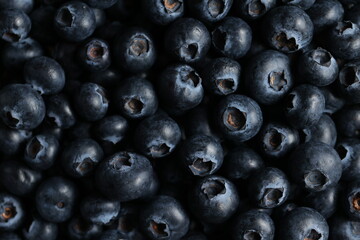 High-Quality Macro Photography of Fresh Blueberries with Detailed Texture