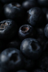 High-Quality Macro Photography of Fresh Blueberries with Detailed Texture