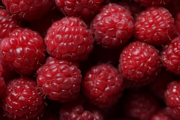 Close-up Macro Shot of Fresh Red Raspberries with Detailed Texture