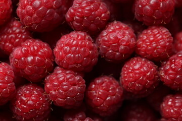Close-up Macro Shot of Fresh Red Raspberries with Detailed Texture