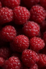 Close-up Macro Shot of Fresh Red Raspberries with Detailed Texture