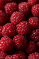Close-up Macro Shot of Fresh Red Raspberries with Detailed Texture