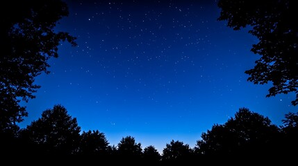 Naklejka premium A dark silhouette of trees beneath a starry night sky