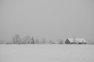 black and white landscape with snow covered field. Old barn ahead between the trees
