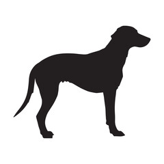 Dog silhouette white background