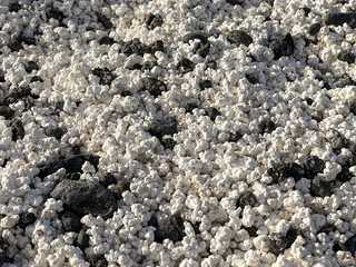 Detalles de pequeñas piedras erosionadas con forma de popcorn en la playa de Majanicho en Fuerteventura
