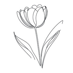 Tulip one line drawing.Abstract flower continuous line. Minimalist contour drawing of tulip. Continuous line drawing of flower tulip.Hand drawn sketch of flower with leaves