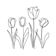 Tulip one line drawing.Abstract flower continuous line. Minimalist contour drawing of tulip. Continuous line drawing of flower tulip.Hand drawn sketch of flower with leaves