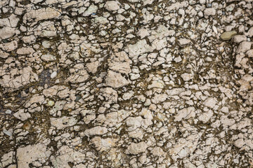 Felsgestein an der Adriaküste