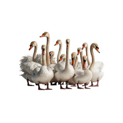 Obraz premium Flock of geese generative AI