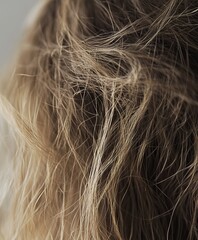 Naklejka premium dry and frizzy hair with visible split ends and breakage. 