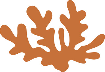 Hand-drawn seaweed illustration 