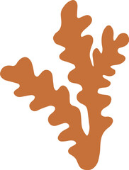 Hand-drawn seaweed illustration 