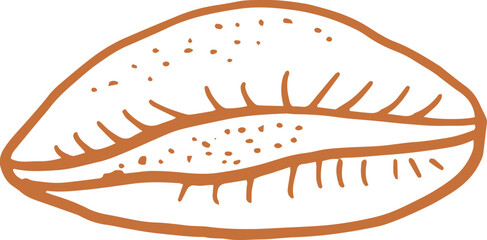 Linear hand-drawn cowrie shell