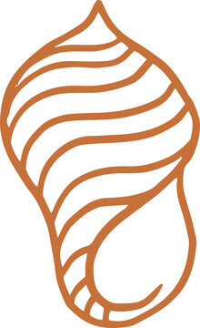 Linear hand-drawn conch shell
