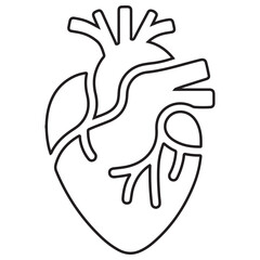 Anatomical Heart Illustration Vector Black Line Art for Medical Concepts