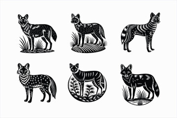Set of dhole animal vector illustration.