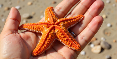 Orange starfish in human palm against beach background - marine life concept for nature blogs, educational websites, and environmental conservation