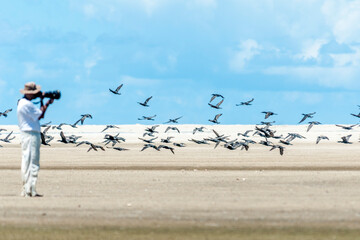 Revoada de bigu&aacute;s na Barra da Lagoa do Peixe.