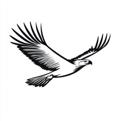 Fototapeta premium An elegant hawk in flight, showcasing its powerful wings and keen gaze against a minimalist background.