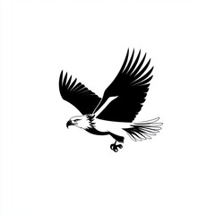 Obraz premium A striking black and white illustration of an eagle in mid-flight, showcasing its powerful wings and fierce expression.