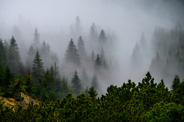 A Gloomy Autumn Day Unfolding Over the Mystical Peaks of the Low Tatras