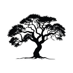 Babul Acacia Tree vector silhouette
