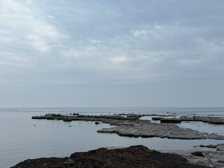 view of the harbor of the sea