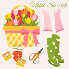 Hello spring vector set. Spring set with basket of tulips and scissors, rubber boots and gloves, seedling pot.