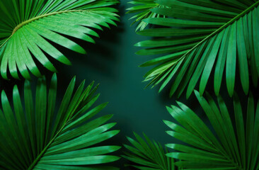 Lush green palm leaves creating a tropical jungle atmosphere