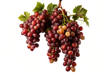 bunch of red grapes