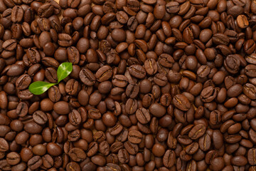 Roasted coffee beans with leaves as background,top view
